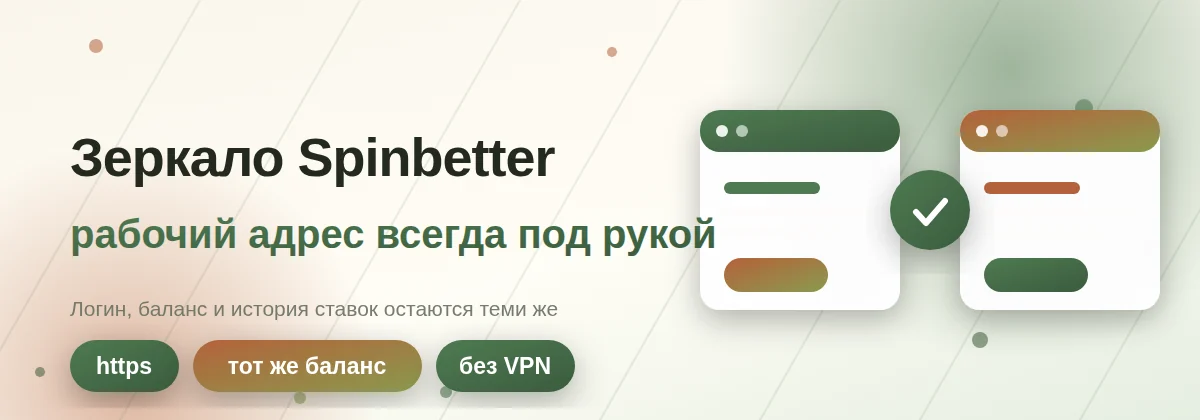 Зеркало Спинбеттер